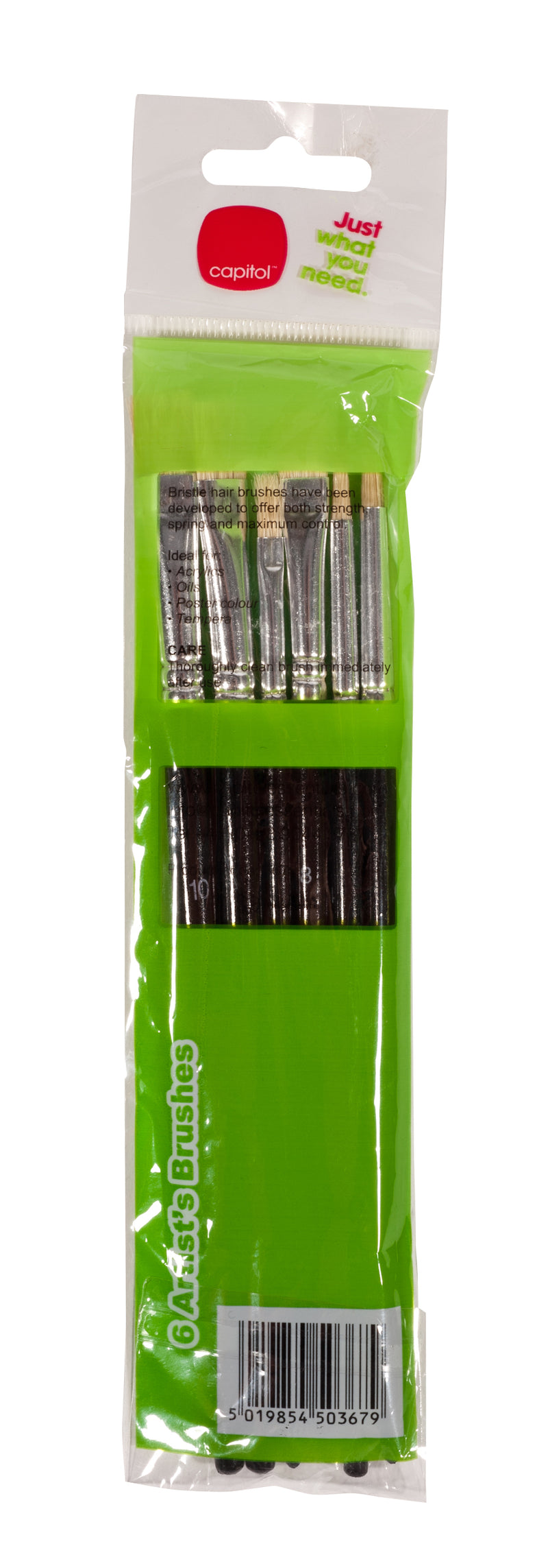 6 Artist Paintbrush (6 Units)