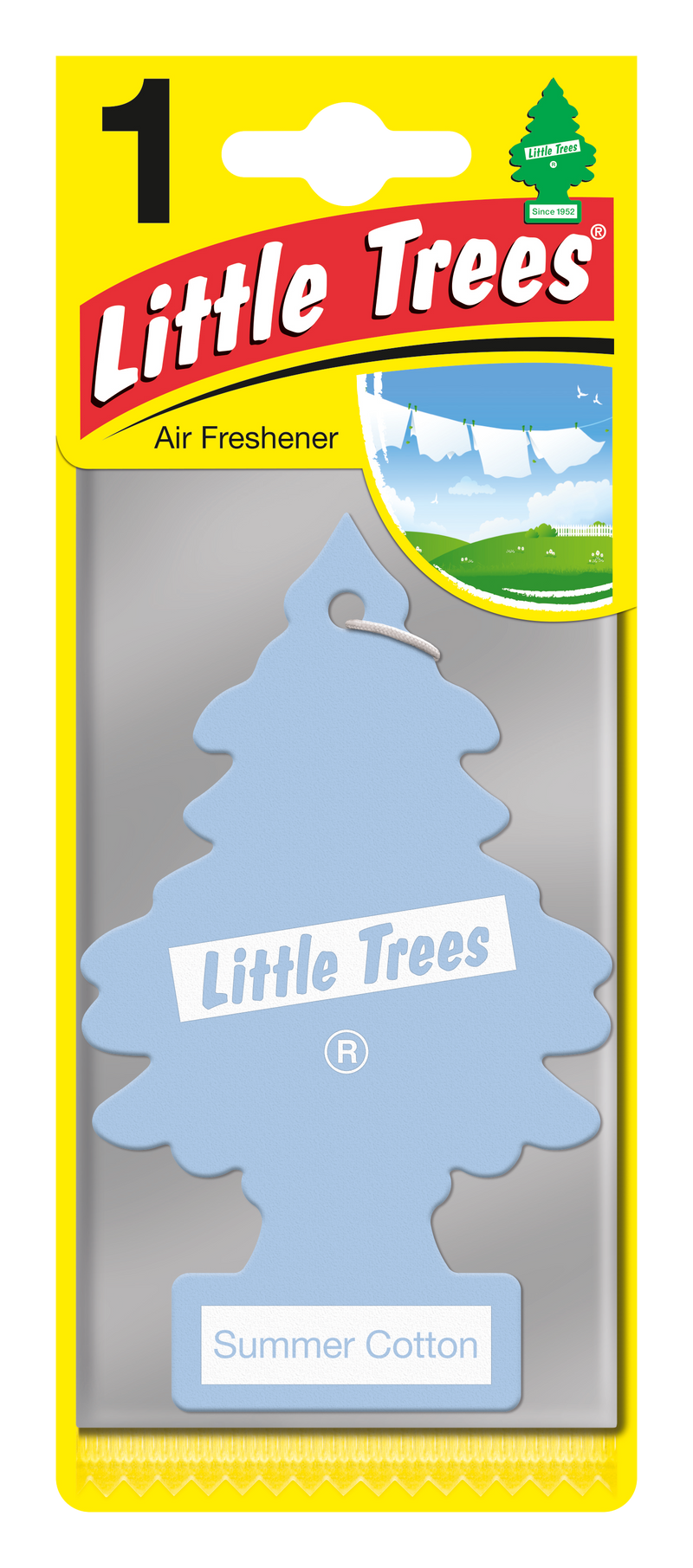 Summer Cotton Tree (24 Units)